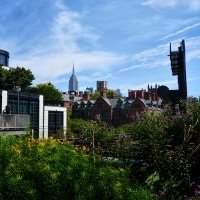 ANY Discovery Balade sur la High-line depuis Hudson Yards