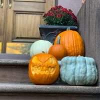 Chasse au trésor Halloween à New York