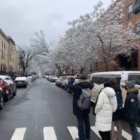 Visite Harlem au delà de la 125 ème rue