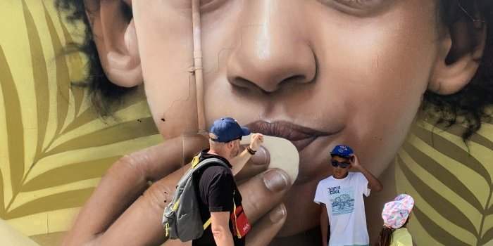 Visite guidée de Brooklyn en 3 quartiers avec guide professionnelle