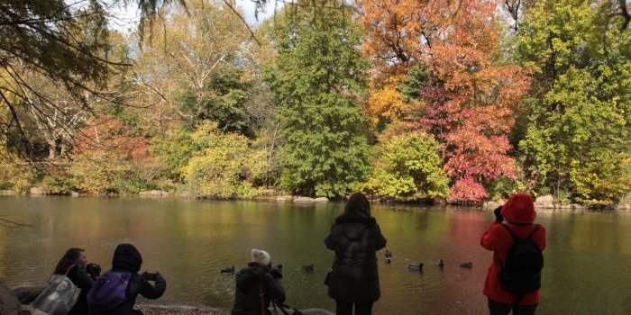 Sortie Photos : Les belles couleurs d'automne