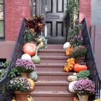 Rendez-vous impromptu : Balade dans Brooklyn à la recherche des décorations d'Halloween 