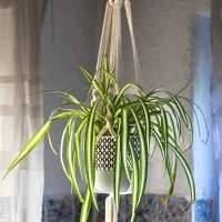 Atelier Macrame