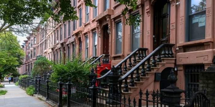 ANY DISCOVERY - À la découverte de BedStuy