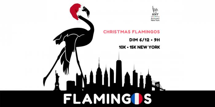 Course : CHRISTMAS FLAMINGOS - 10K / 15k