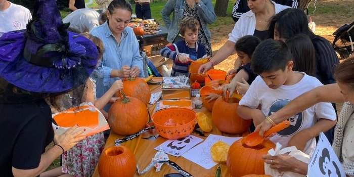ANY FAMILY : HALLOWEEN 