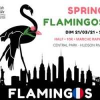 | COURSE | SPRING FLAMINGOS 2021 | Half - 10k - Marche rapide - Dimanche 21 mars 2021 09:00-11:30
