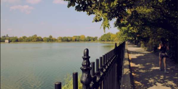 Marche dans Central Park