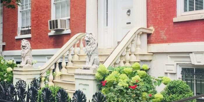 Visite Greenwich Village par guide certifié