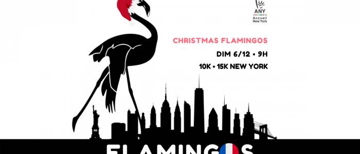 Course : CHRISTMAS FLAMINGOS - 10K / 15k