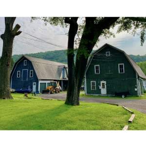 Atelier d'Artistes- #11 : Muralists à Nyack