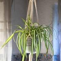 Atelier Macrame