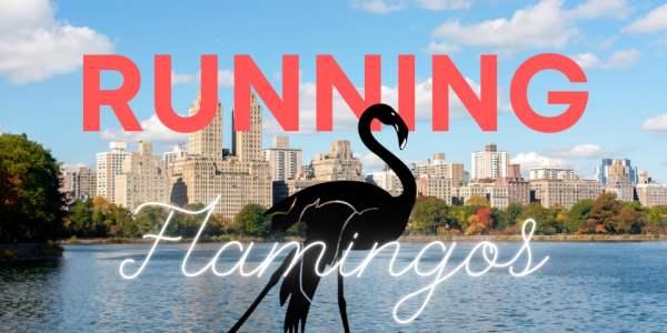 Course-Running New-York