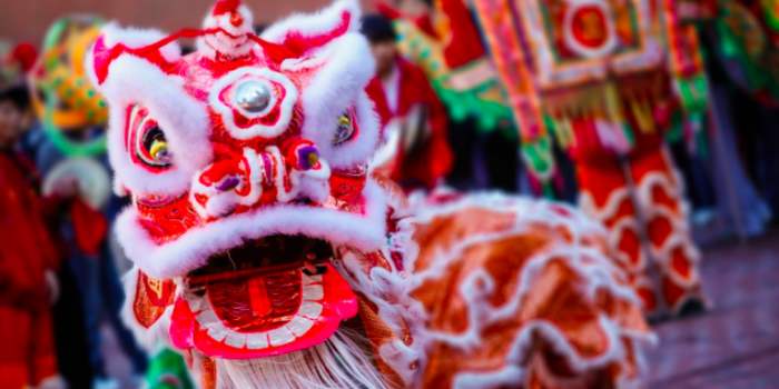 ANY Discovery Visite de Chinatown pour le nouvel an chinois