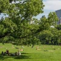 Evénements ANY : Grand Rendez-vous de fin d'année à Central Park