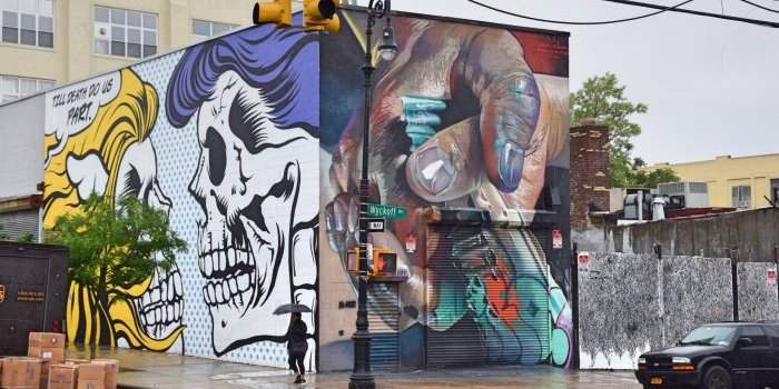 ANY Discovery BUSHWICK Brooklyn Street art 