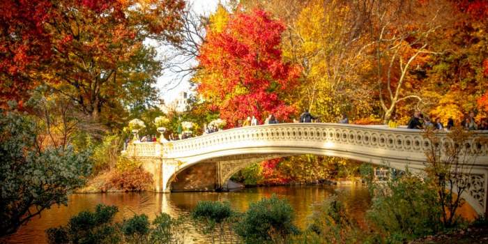 Sortie Photos Fall Folliage Central Park