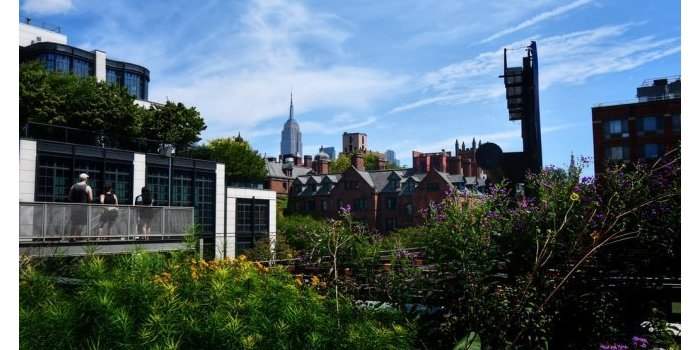 ANY Discovery Balade sur la High-line depuis Hudson Yards