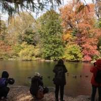 Sortie Photos : Les belles couleurs d'automne