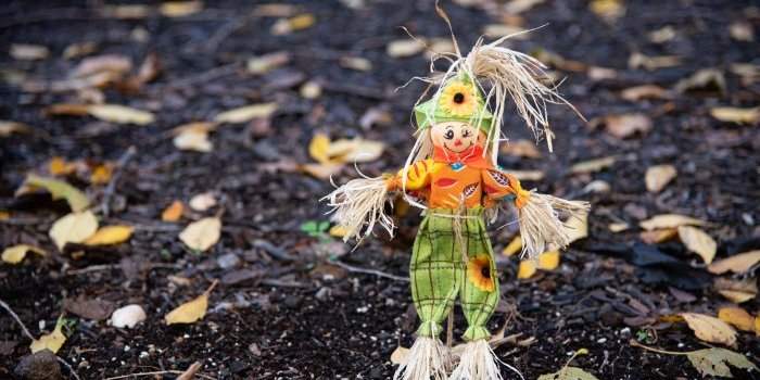 Sortie Photo : Couleurs d'automne